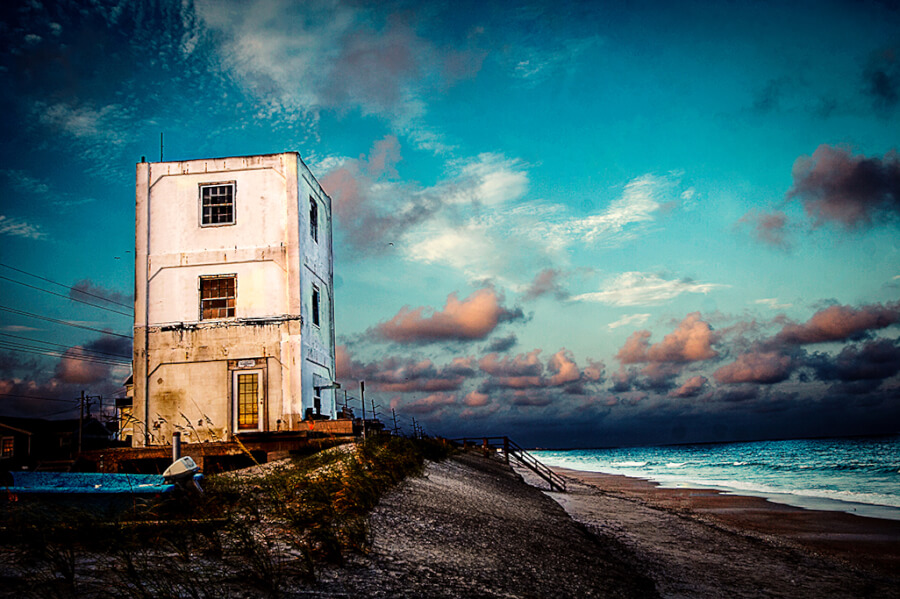 Bumble Bee Project Photo